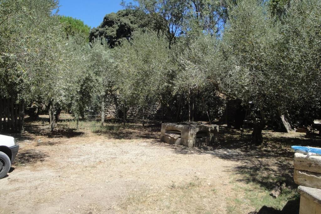 Le Mas De Lucien Entre Arles, Nimes, Avignon. Beaucaire  Kültér fotó