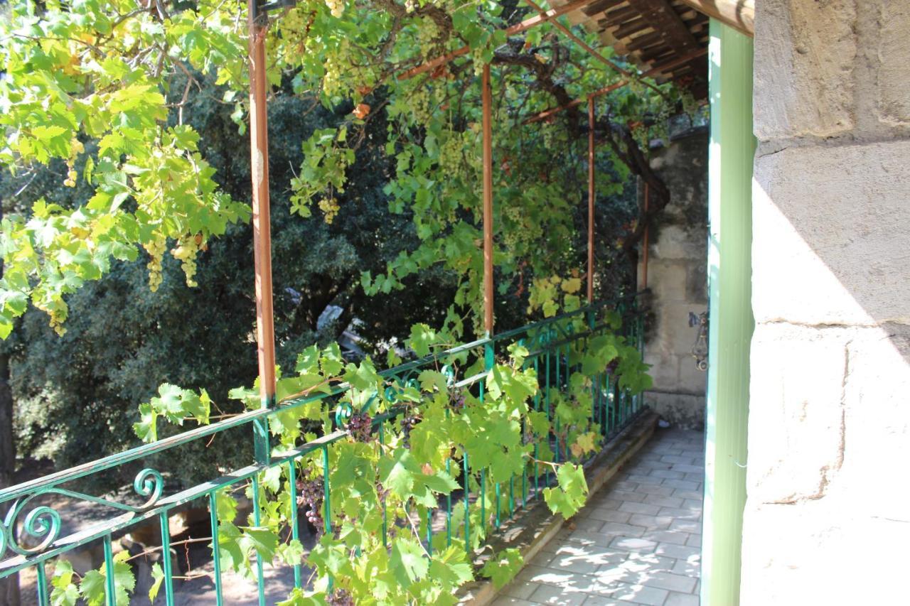 Le Mas De Lucien Entre Arles, Nimes, Avignon. Beaucaire  Kültér fotó